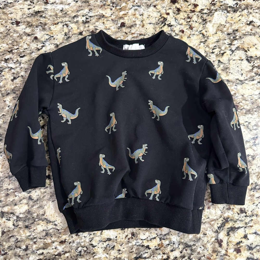 Kids Black Dinosaur Sweatshirt